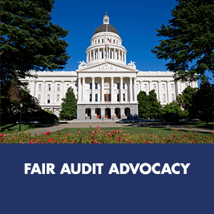 Fair Audit Advocacy